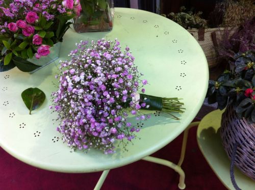 جیپس فلا، نفس کودک